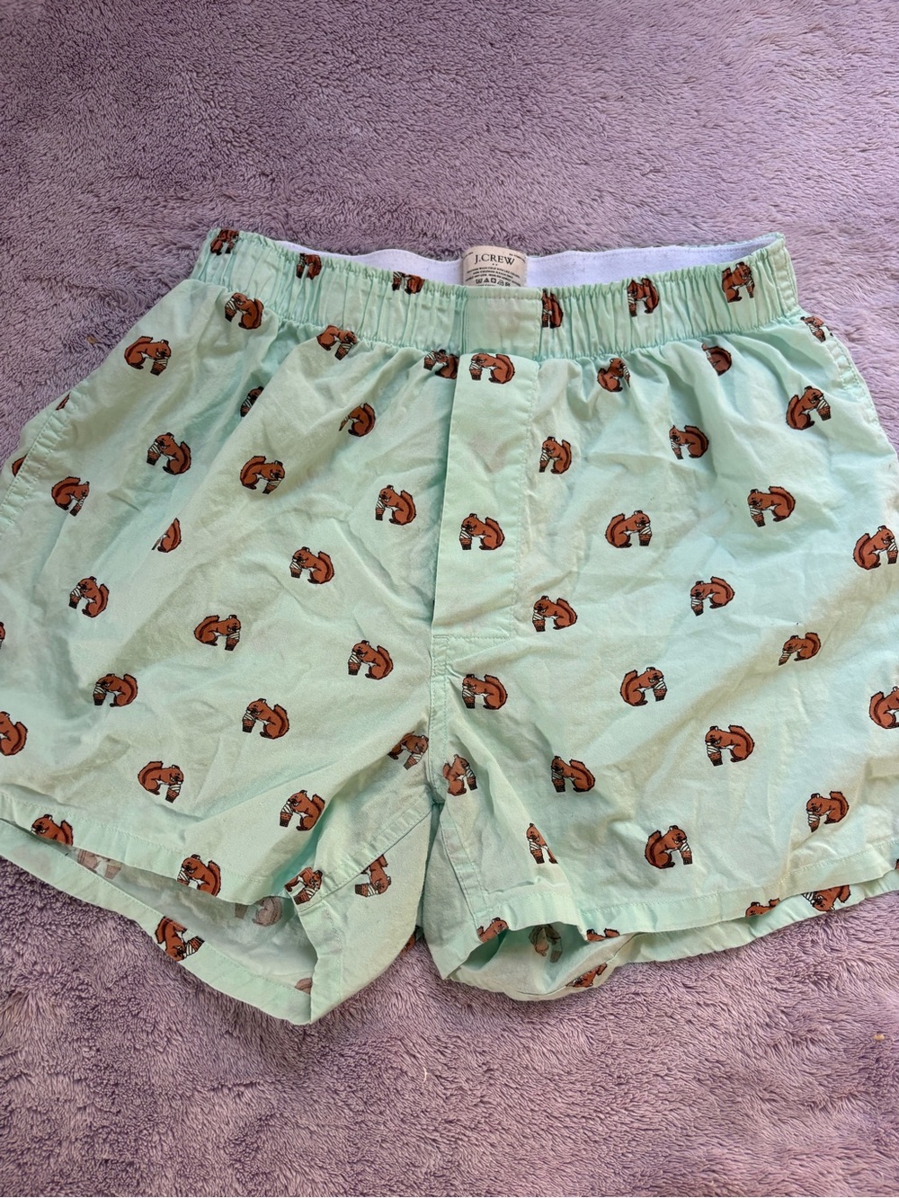 J. Crew Men’s Light Green Boxer Shorts with Squirrel eating ice cream 🍦